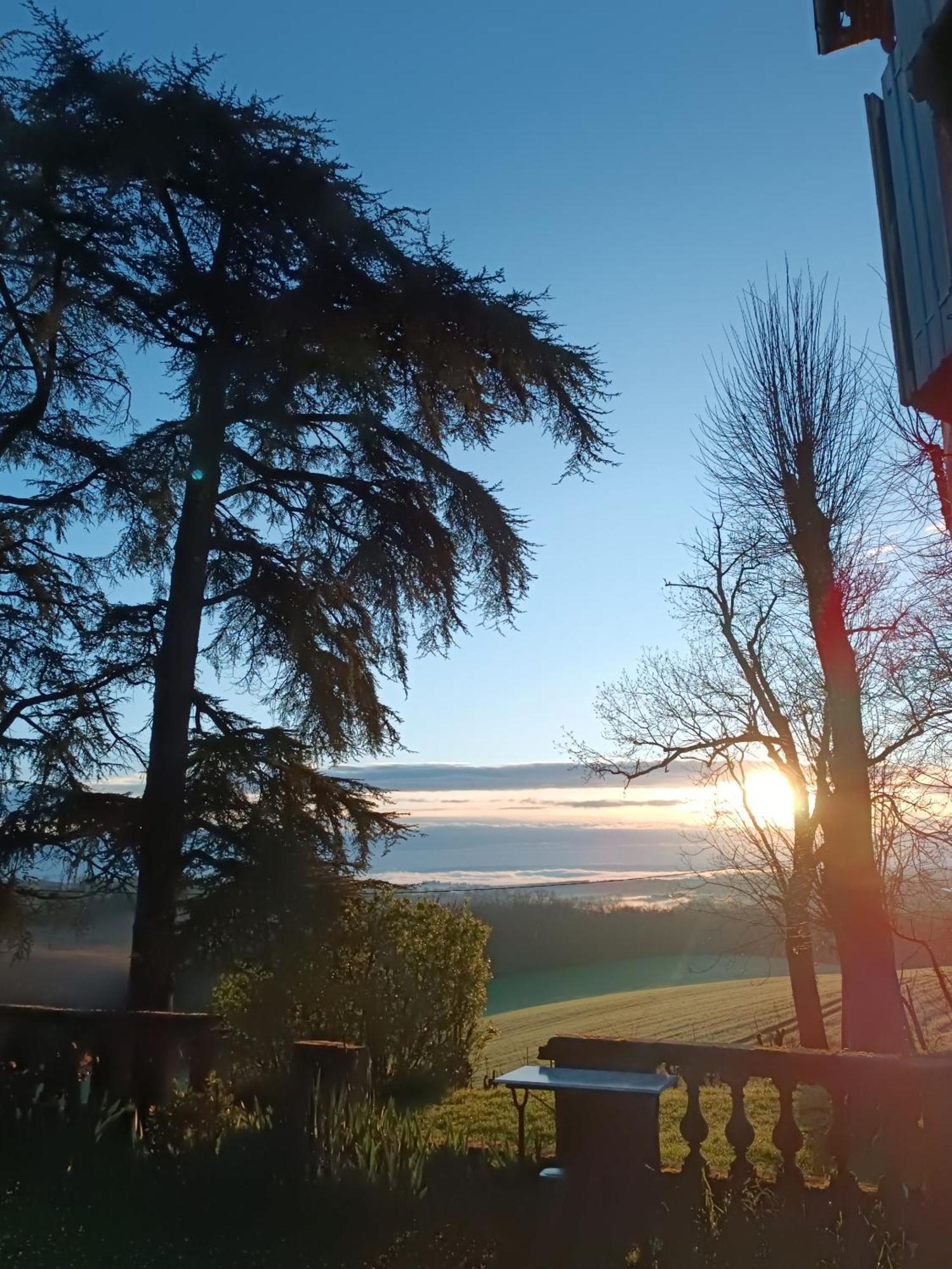 Le Jardin Des Cedres Hotel Lavaur  Buitenkant foto
