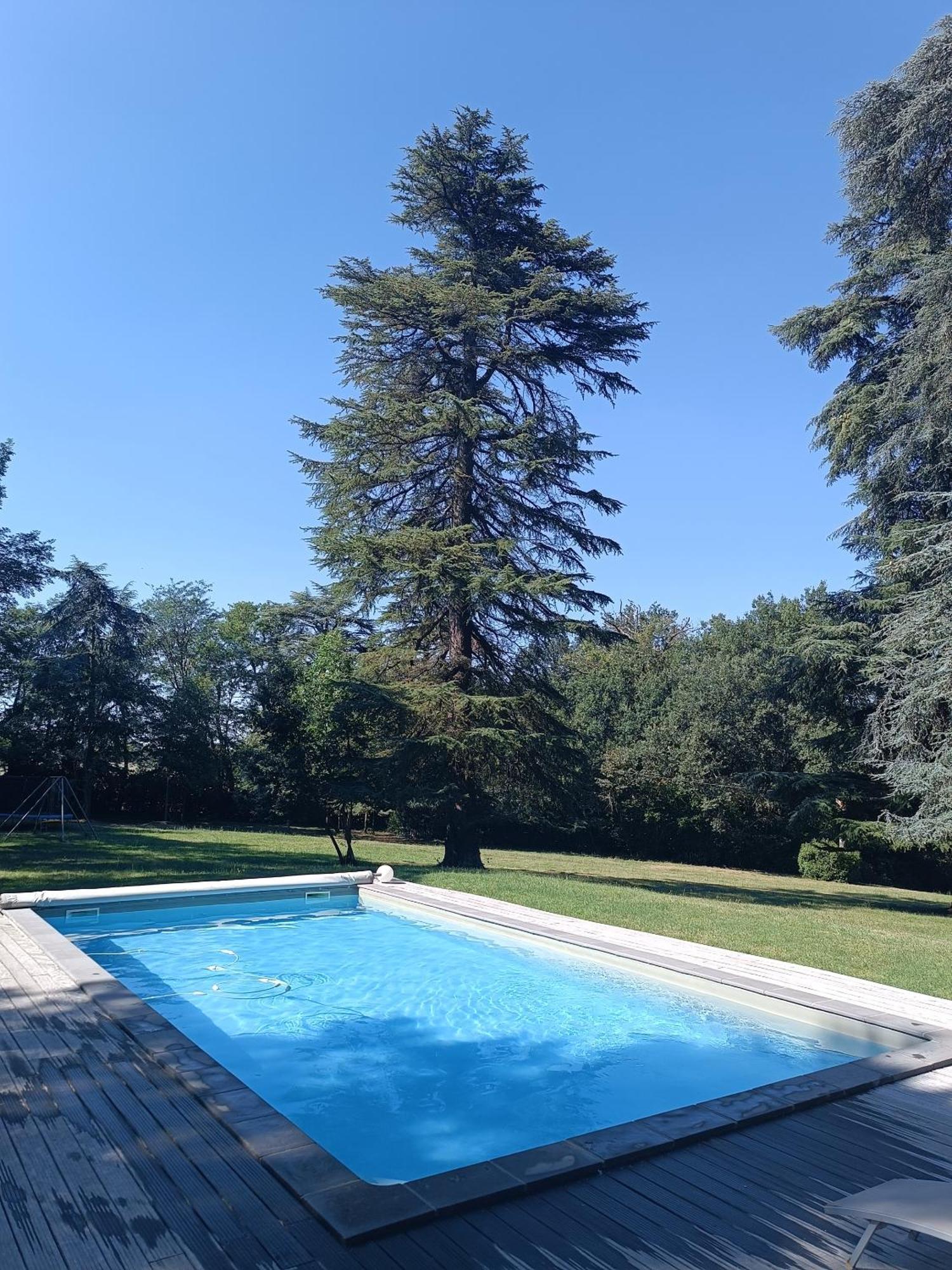 Le Jardin Des Cedres Hotel Lavaur  Buitenkant foto